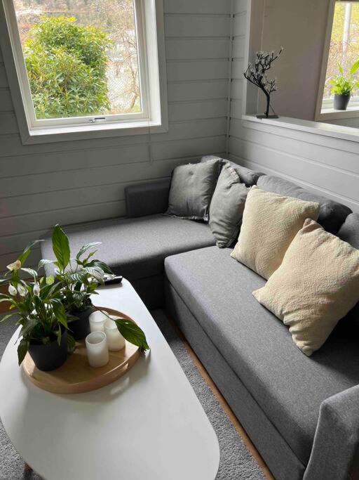 Cosy Apartment With Free Parking Bergen Exterior photo